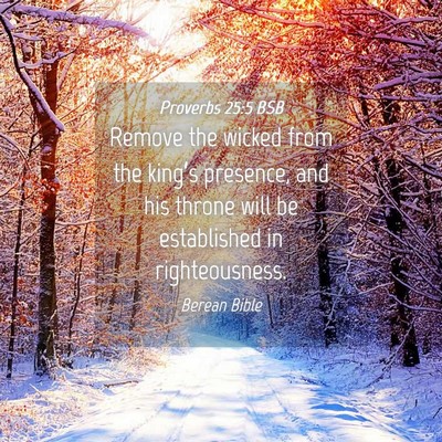 Picture 04 - Proverbs 25:5 BSB - Remove the wicked from the king’s presence, and - Bible Verse Picture
