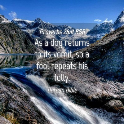 Picture 04 - Proverbs 26:11 BSB - As a dog returns to its vomit, so a fool repeats - Bible Verse Picture