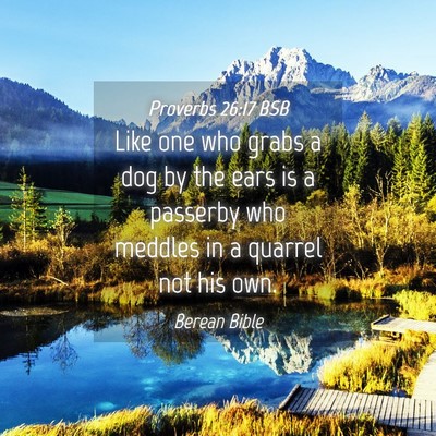 Picture 04 - Proverbs 26:17 BSB - Like one who grabs a dog by the ears is a - Bible Verse Picture
