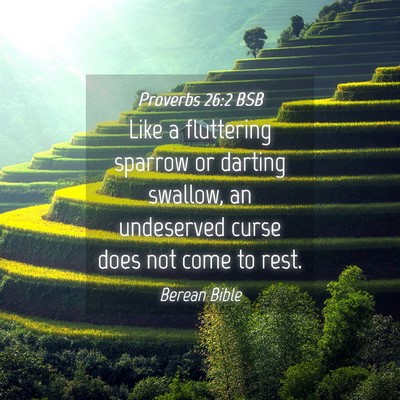 Picture 04 - Proverbs 26:2 BSB - Like a fluttering sparrow or darting swallow, an - Bible Verse Picture