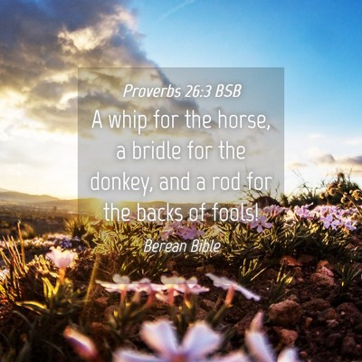 Picture 04 - Proverbs 26:3 BSB - A whip for the horse, a bridle for the donkey, - Bible Verse Picture