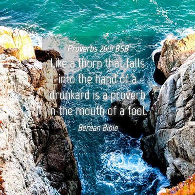 Picture 04 - Proverbs 26:9 BSB - Like a thorn that falls into the hand of a - Bible Verse Picture