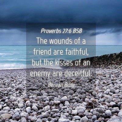 Picture 04 - Proverbs 27:6 BSB - The wounds of a friend are faithful, but the - Bible Verse Picture