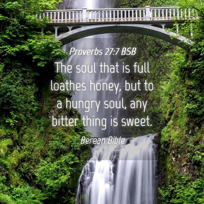 Picture 04 - Proverbs 27:7 BSB - The soul that is full loathes honey, but to a - Bible Verse Picture