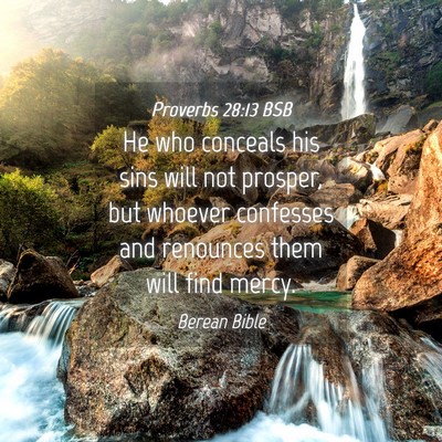 Picture 04 - Proverbs 28:13 BSB - He who conceals his sins will not prosper, but - Bible Verse Picture