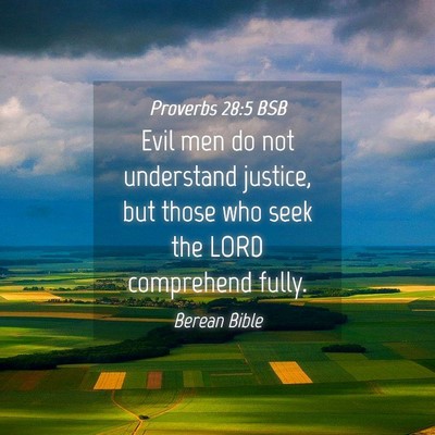 Picture 04 - Proverbs 28:5 BSB - Evil men do not understand justice, but those who - Bible Verse Picture