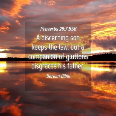 Picture 04 - Proverbs 28:7 BSB - A discerning son keeps the law, but a companion - Bible Verse Picture