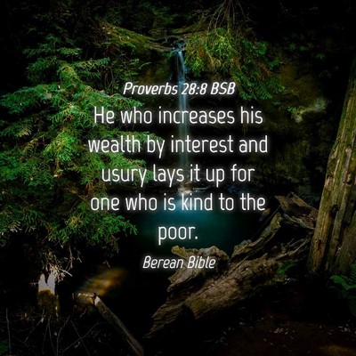 Picture 04 - Proverbs 28:8 BSB - He who increases his wealth by interest and usury - Bible Verse Picture
