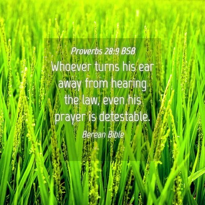Picture 04 - Proverbs 28:9 BSB - Whoever turns his ear away from hearing the law, - Bible Verse Picture