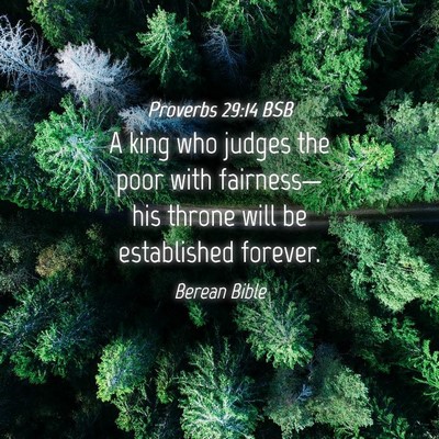 Picture 04 - Proverbs 29:14 BSB - A king who judges the poor with fairness—his - Bible Verse Picture