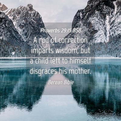 Picture 04 - Proverbs 29:15 BSB - A rod of correction imparts wisdom, but a child - Bible Verse Picture