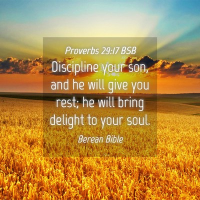 Picture 04 - Proverbs 29:17 BSB - Discipline your son, and he will give you rest; - Bible Verse Picture