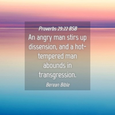 Picture 04 - Proverbs 29:22 BSB - An angry man stirs up dissension, and a - Bible Verse Picture