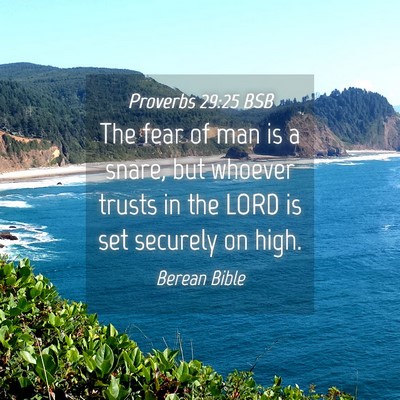 Picture 04 - Proverbs 29:25 BSB - The fear of man is a snare, but whoever trusts in - Bible Verse Picture