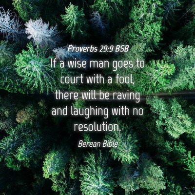 Picture 04 - Proverbs 29:9 BSB - If a wise man goes to court with a fool, there - Bible Verse Picture