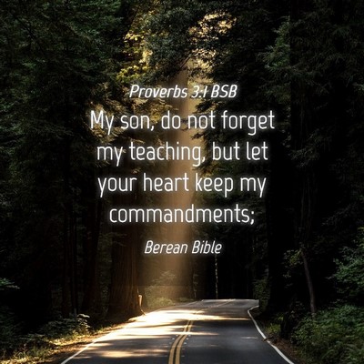 Picture 04 - Proverbs 3:1 BSB - My son, do not forget my teaching, but let your - Bible Verse Picture