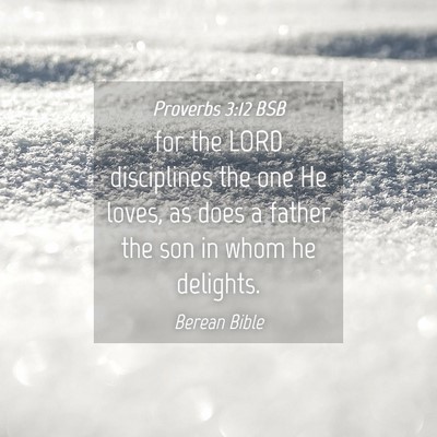 Picture 04 - Proverbs 3:12 BSB - for the LORD disciplines the one He loves, as - Bible Verse Picture