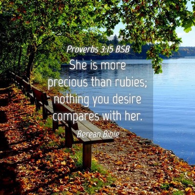 Picture 04 - Proverbs 3:15 BSB - She is more precious than rubies; nothing you - Bible Verse Picture