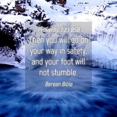 Picture 04 - Proverbs 3:23 BSB - Then you will go on your way in safety, and your - Bible Verse Picture
