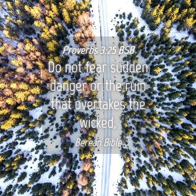 Picture 04 - Proverbs 3:25 BSB - Do not fear sudden danger or the ruin that - Bible Verse Picture