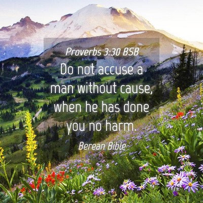 Picture 04 - Proverbs 3:30 BSB - Do not accuse a man without cause, when he has - Bible Verse Picture