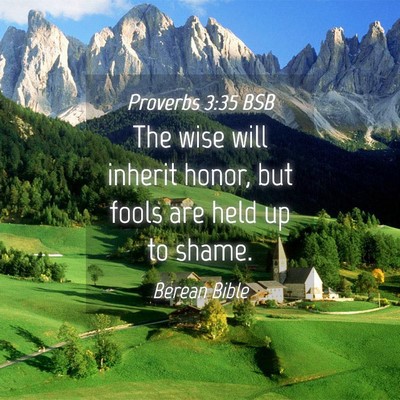 Picture 04 - Proverbs 3:35 BSB - The wise will inherit honor, but fools are held - Bible Verse Picture