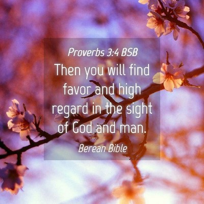 Picture 04 - Proverbs 3:4 BSB - Then you will find favor and high regard in the - Bible Verse Picture