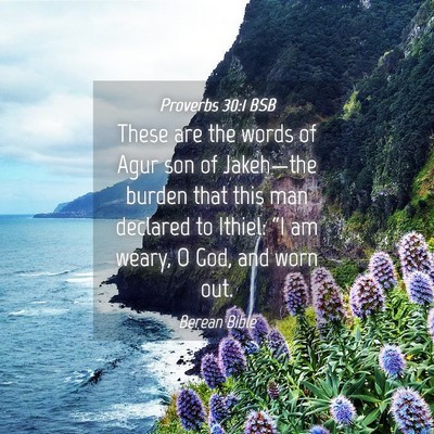 Picture 04 - Proverbs 30:1 BSB - These are the words of Agur son of Jakeh—the - Bible Verse Picture
