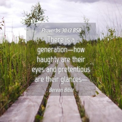 Picture 04 - Proverbs 30:13 BSB - There is a generation—how haughty are their - Bible Verse Picture