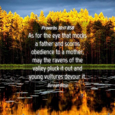 Picture 04 - Proverbs 30:17 BSB - As for the eye that mocks a father and scorns - Bible Verse Picture