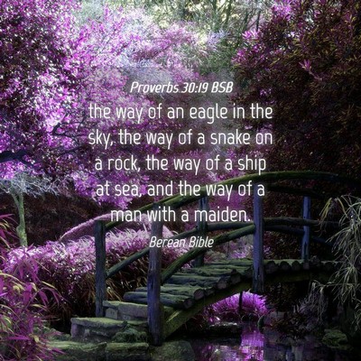 Picture 04 - Proverbs 30:19 BSB - the way of an eagle in the sky, the way of a - Bible Verse Picture
