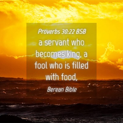 Picture 04 - Proverbs 30:22 BSB - a servant who becomes king, a fool who is filled - Bible Verse Picture