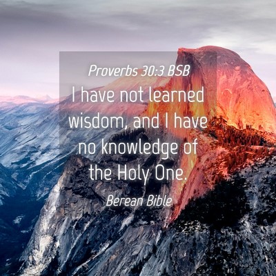Picture 04 - Proverbs 30:3 BSB - I have not learned wisdom, and I have no - Bible Verse Picture