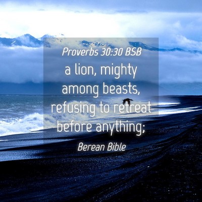 Picture 04 - Proverbs 30:30 BSB - a lion, mighty among beasts, refusing to retreat - Bible Verse Picture
