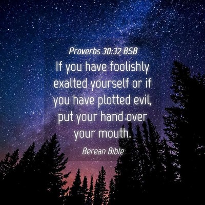 Picture 04 - Proverbs 30:32 BSB - If you have foolishly exalted yourself or if you - Bible Verse Picture