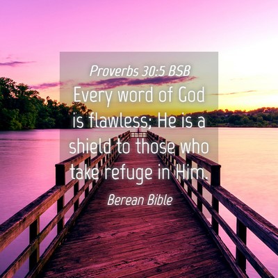 Picture 04 - Proverbs 30:5 BSB - Every word of God is flawless; He is a shield to - Bible Verse Picture