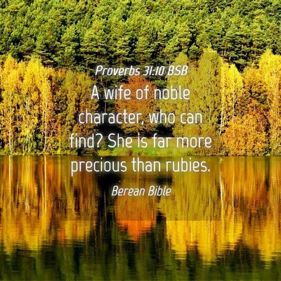 Picture 04 - Proverbs 31:10 BSB - A wife of noble character, who can find? She is - Bible Verse Picture