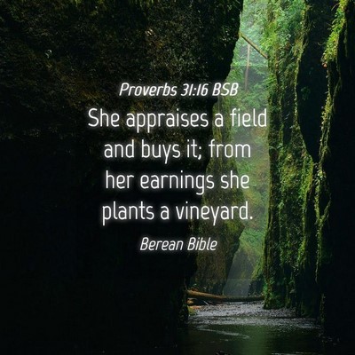 Picture 04 - Proverbs 31:16 BSB - She appraises a field and buys it; from her - Bible Verse Picture