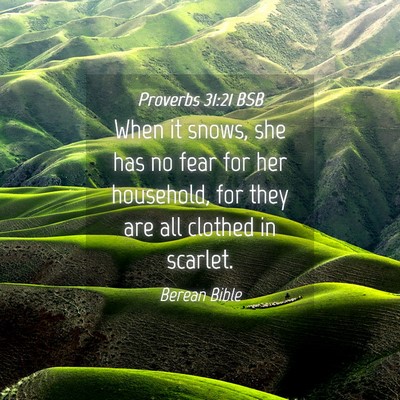 Picture 04 - Proverbs 31:21 BSB - When it snows, she has no fear for her household, - Bible Verse Picture