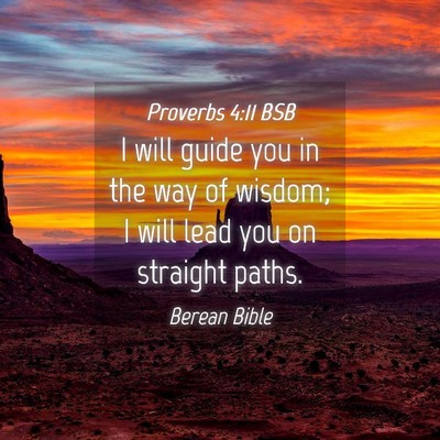 Picture 04 - Proverbs 4:11 BSB - I will guide you in the way of wisdom; I will - Bible Verse Picture