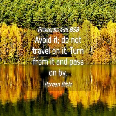 Picture 04 - Proverbs 4:15 BSB - Avoid it; do not travel on it. Turn from it and - Bible Verse Picture