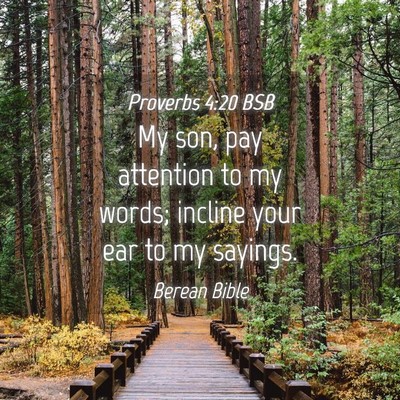 Picture 04 - Proverbs 4:20 BSB - My son, pay attention to my words; incline your - Bible Verse Picture