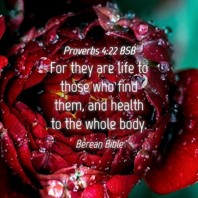 Picture 04 - Proverbs 4:22 BSB - For they are life to those who find them, and - Bible Verse Picture