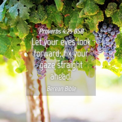 Picture 04 - Proverbs 4:25 BSB - Let your eyes look forward; fix your gaze - Bible Verse Picture
