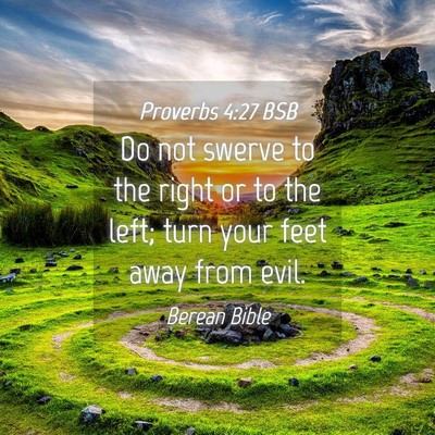 Picture 04 - Proverbs 4:27 BSB - Do not swerve to the right or to the left; turn - Bible Verse Picture