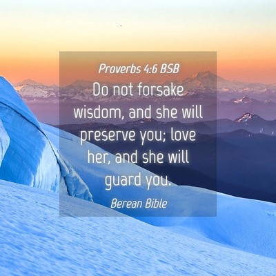 Picture 04 - Proverbs 4:6 BSB - Do not forsake wisdom, and she will preserve you; - Bible Verse Picture
