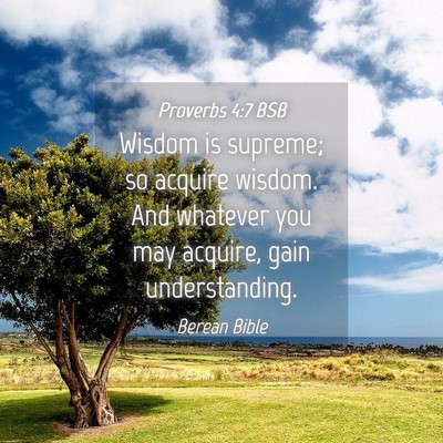 Picture 04 - Proverbs 4:7 BSB - Wisdom is supreme; so acquire wisdom. And - Bible Verse Picture