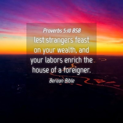 Picture 04 - Proverbs 5:10 BSB - lest strangers feast on your wealth, and your - Bible Verse Picture