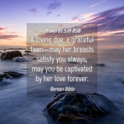 Picture 04 - Proverbs 5:19 BSB - A loving doe, a graceful fawn—may her breasts - Bible Verse Picture