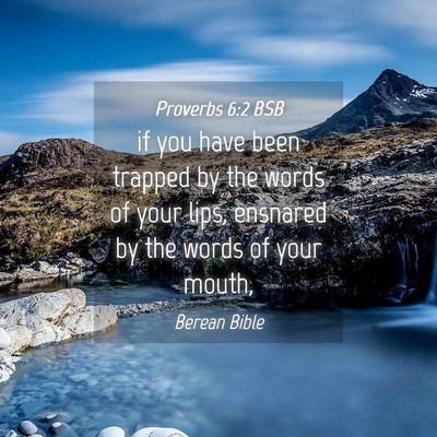 Picture 04 - Proverbs 6:2 BSB - if you have been trapped by the words of your - Bible Verse Picture